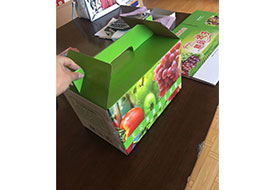 無公害果蔬專用箱